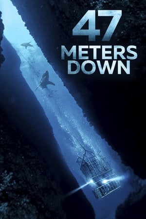 47 Metres Down (2017) Dual Audio | Dubbed Hindi Movie BluRay 300MB