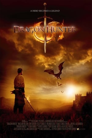 Dragon Hunter (2009) Dual Audio | Dubbed Hindi Movie BluRay [1GB]