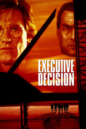 Executive Decision (1996) Dual Audio | Dubbed Hindi Movie BluRay [1GB]