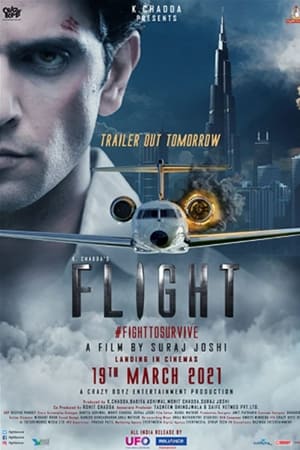 Flight 2021 Movie | Dubbed Hindi Movie HDRip – [300MB]