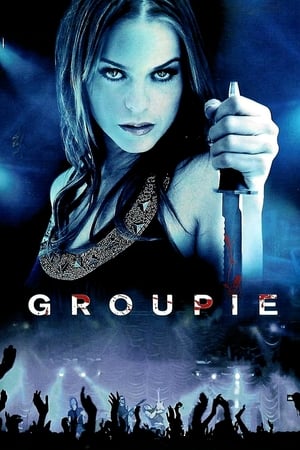 Groupie (2010) Dual Audio | Dubbed Hindi Movie BluRay 300MB