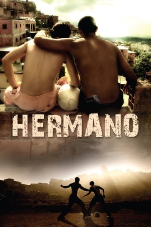 Hermano 2010 Dual Audio | Dubbed Hindi Movie BluRay [1.2GB]