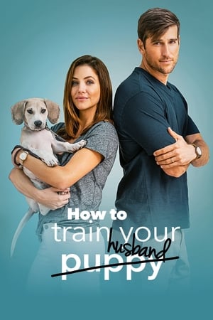 How to Train Your Husband 2018 Dual Audio | Dubbed Hindi Movie BluRay 300MB