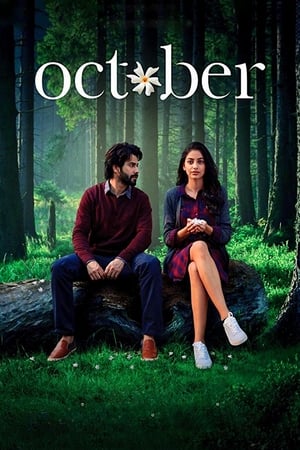 October (2018) Movie | Dubbed Hindi Movie BluRay - [300MB]