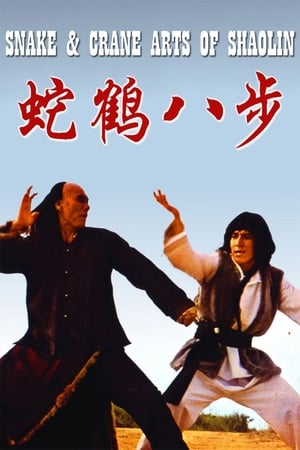 Snake and Crane Arts of Shaolin 1978 Dual Audio | Dubbed Hindi Movie BluRay 300MB