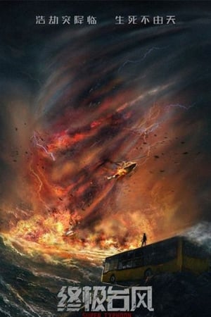 Super Typhoon 2020 Dual Audio HDRip | Dubbed Hindi Movie – 480p