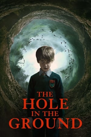 The Hole in the Ground 2019 Dual Audio | Dubbed Hindi Movie BluRay [830MB]