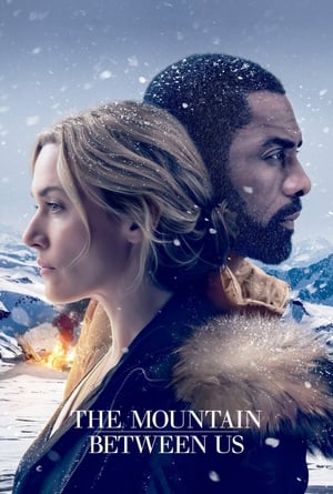 The Mountain Between Us 2017 Dual Audio | Dubbed Hindi Movie Bluray 350MB