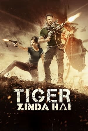 Tiger Zinda Hai 2017 Audio WEB-DL | Dubbed Hindi Movie