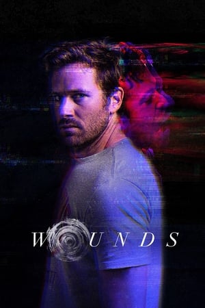 Wounds (2019) Dual Audio | Dubbed Hindi Movie BluRay [930MB]