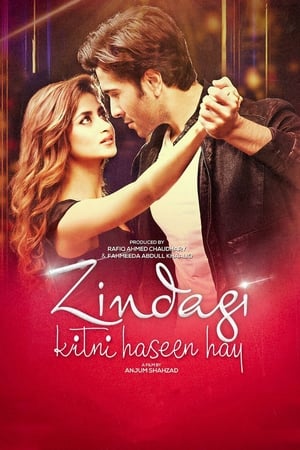 Zindagi Kitni Haseen Hay (2016) Pakistani Movie | Dubbed Hindi Movie HDRip Download